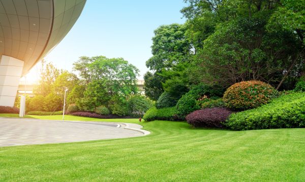Commercial Shrub Trimming in Lady Lake