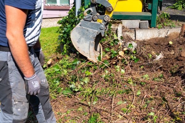 Hedge Removal Service in Lady Lake