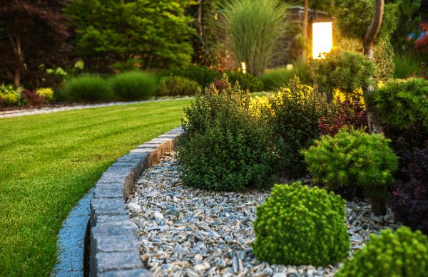 Cost of Bush Relocation in Lady Lake
