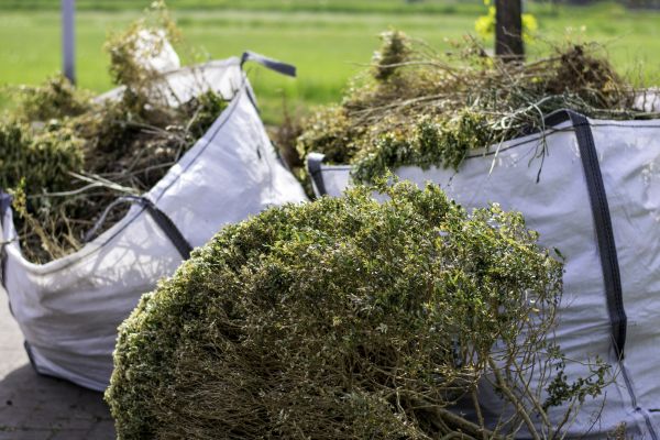 Cost of Shrubs Removal in Lady Lake