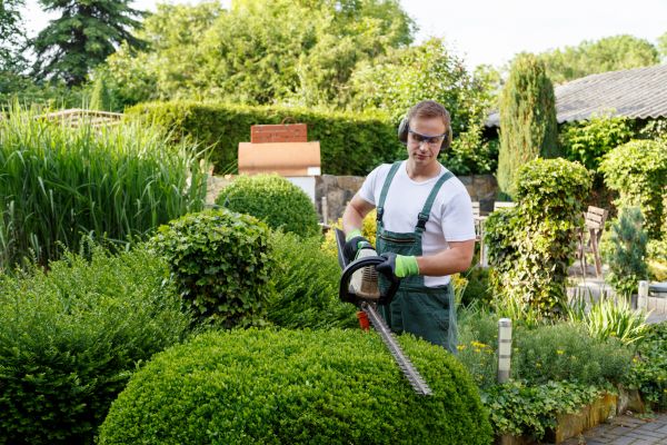 Shrubs Trimming in Lady Lake
