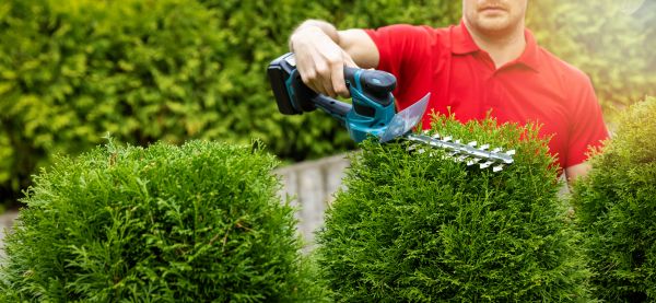 Cost of Hedge Shaping Service in Lady Lake
